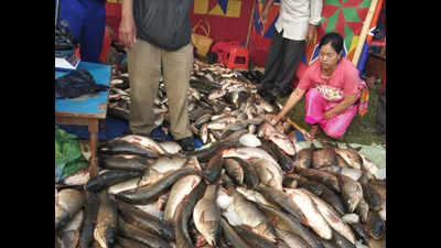 Amid trawling ban, fresh fish becomes scarce in Kerala markets