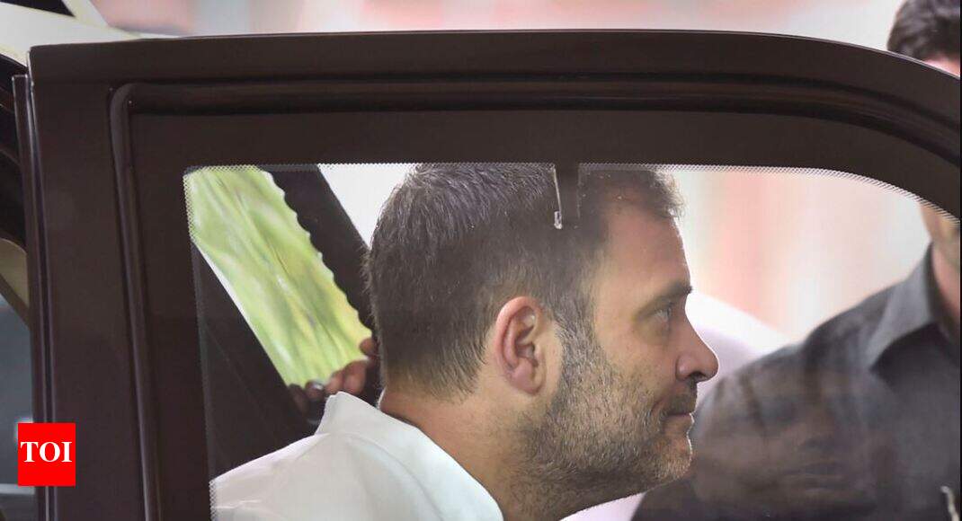 Rahul raises slogans in LS over Karnataka issue