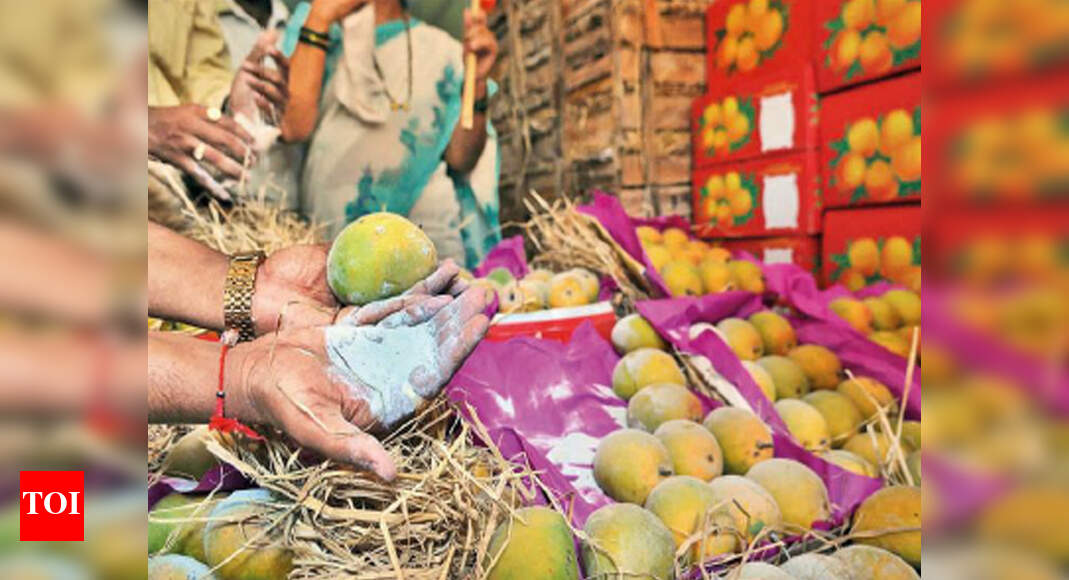 Chandigarh Artificial ripened fruits continue to find place in markets
