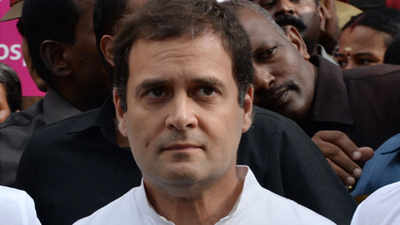 Rahul Gandhi blames cadre for Amethi loss