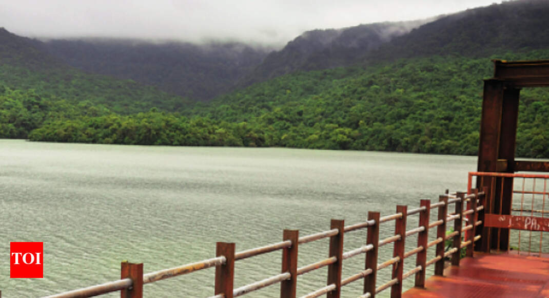 Five dams in Kolhapur district cross 50 capacity mark Kolhapur News