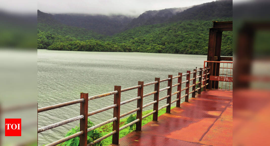 Five dams in Kolhapur district cross 50 capacity mark Kolhapur News