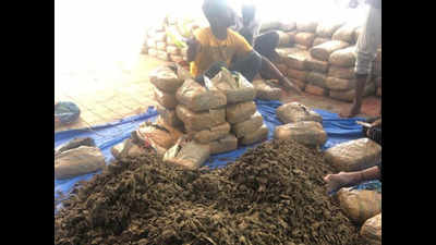 Hyderabad: 1,092 kg ganja seized; 6 held