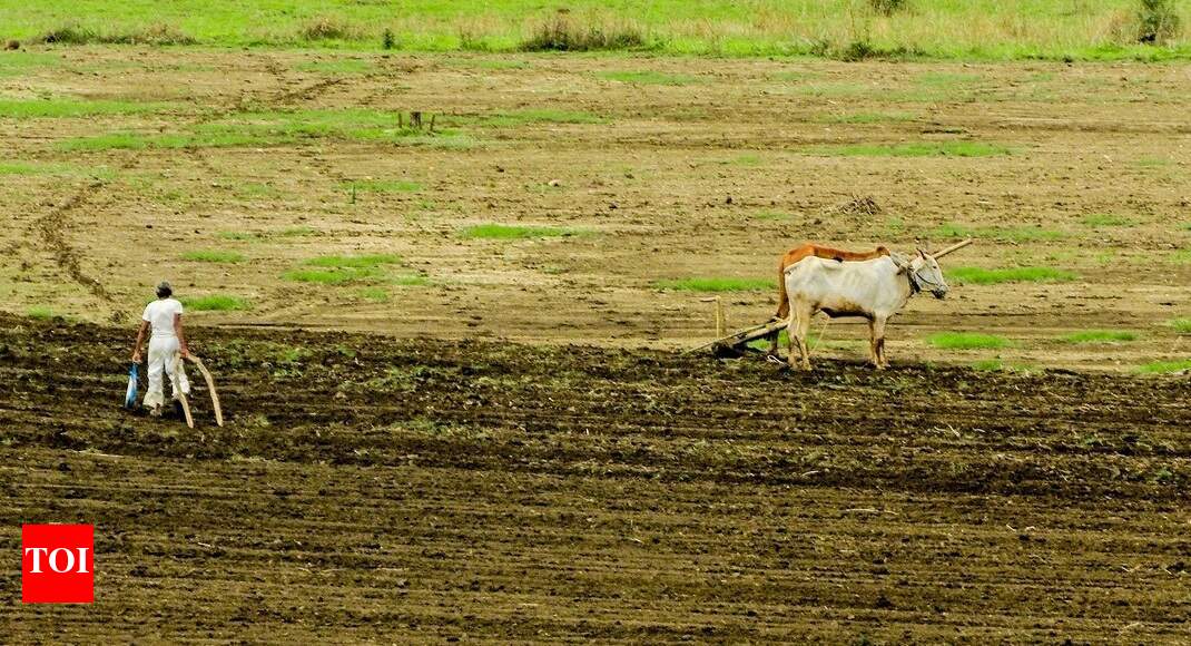 Monsoon picks up speed, gives boost to kharif sowing