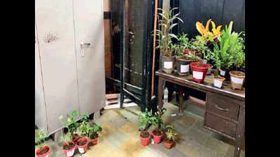 39 Ganpati mandals flouting noise rules ordered to give plants for court premises