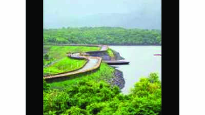 Goa reservoir levels up by 20% in less than ten days