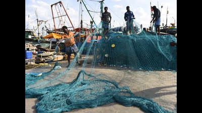 Marine fish production drops by 9% in India