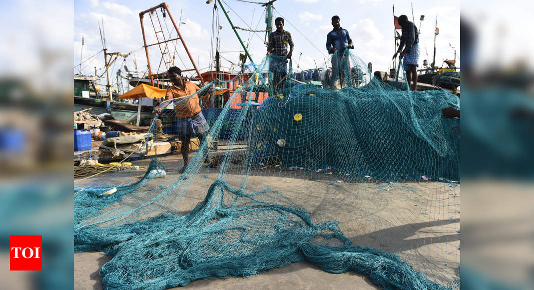 marine-fish-production-drops-by-9-in-india-kochi-news-times-of-india