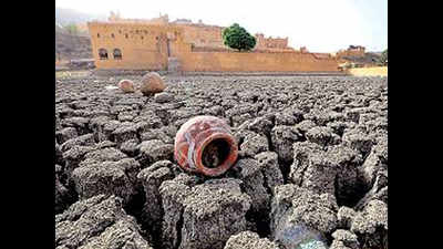 Monsoon unlikely to revive soon in Rajasthan, farmers jittery