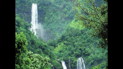 Kolhapur: India's second-highest waterfall a feast for nature lover's
