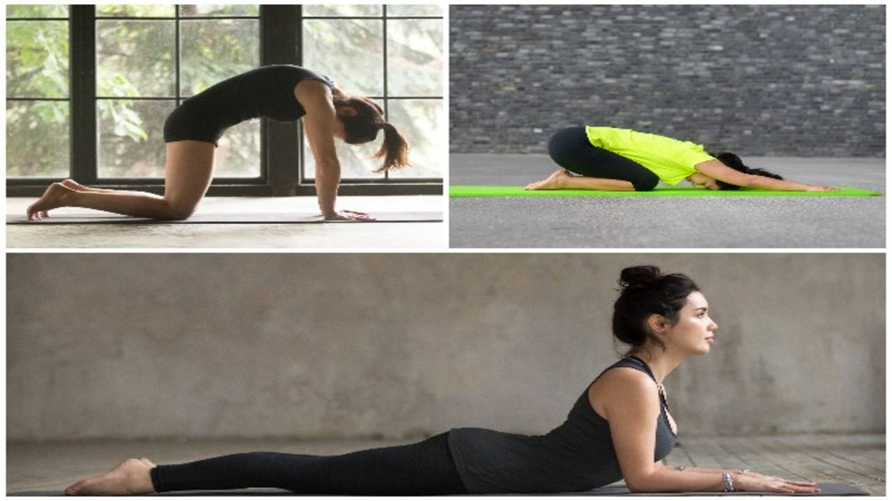 10 Yoga Poses To Increase Spine Mobility - HealthifyMe