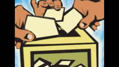 4,500 to vote in town vending panel polls | Chandigarh News - Times of ...