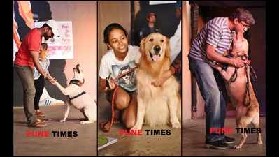 Pet pooches strike a stylish pose at this fashion show in Pune