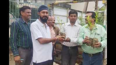 Raipur citizens shows green signal to state government's free sapling delivery scheme