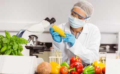 Why learning the technology of food is gaining popularity