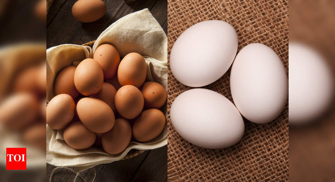 White eggs vs brown eggs Which is healthier? Times of India