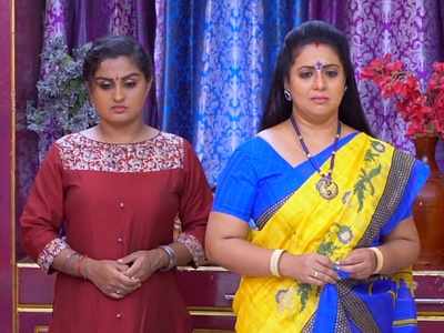 Seetha Kalyanam written update, July 15, 2019: Rajeshwari apologises to Shreya