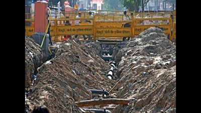 Power utilities on Chandni Chowk central verge: Sort out row, says LG