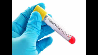 NIV scientists put Nipah virus fear to rest, declare Kerala threat-free