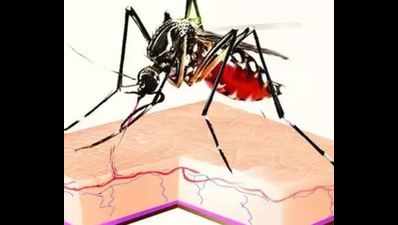 Four new dengue cases in Dehradun