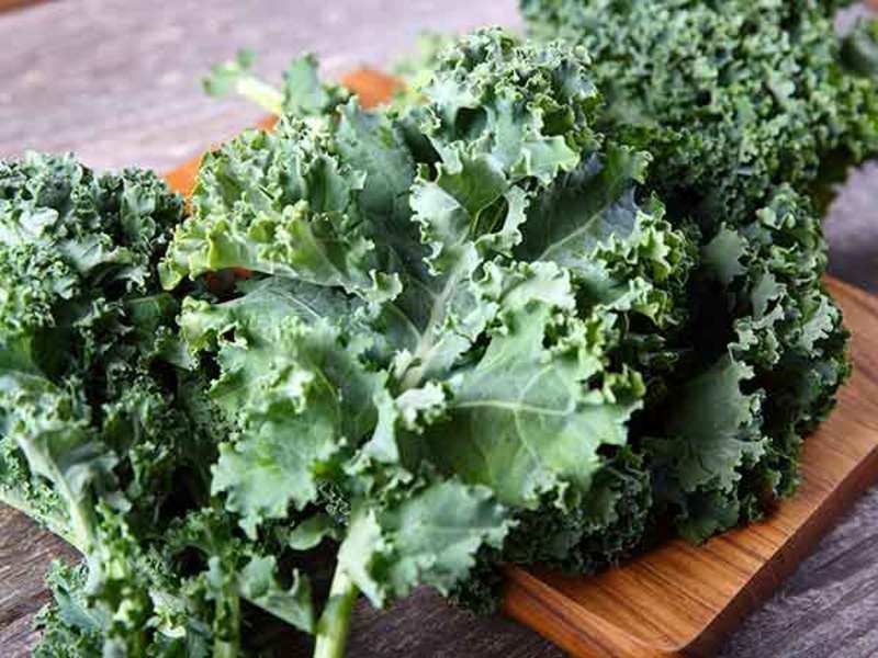 Want to get healthier? Try kale! - Times of India