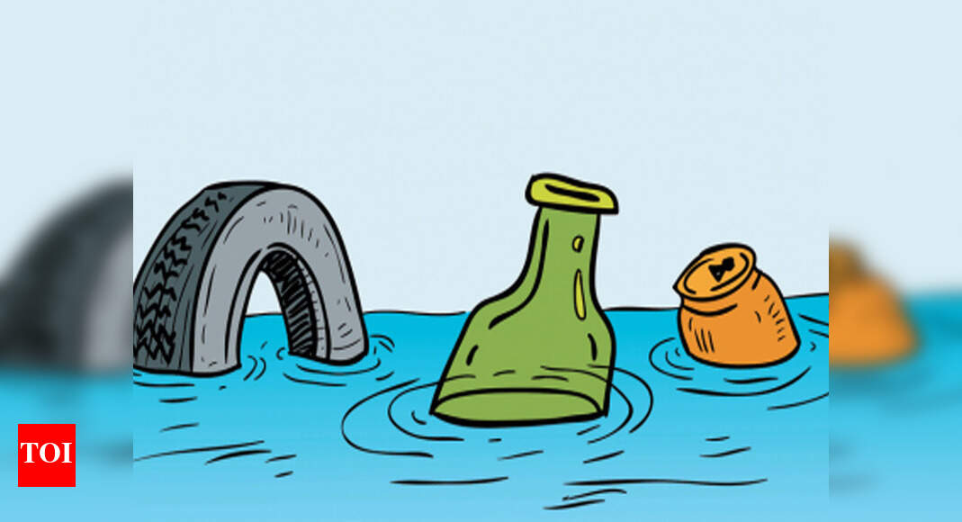 Faleiro for autonomous authority to crack down on river pollution | Goa ...