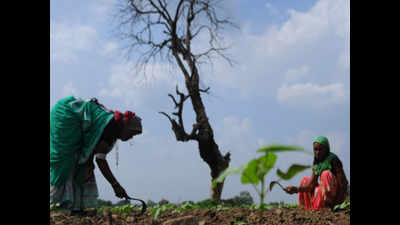 Extended dry spell adds to worries of drought-hit Marathwada region