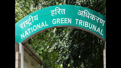 Ridge report: NGT pulls up official for delay