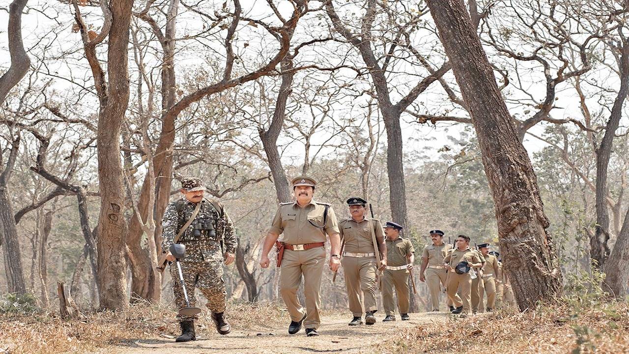 Malayalam cinema shot in forests: Yes, movie shoots hurt our jungles |  Malayalam Movie News - Times of India