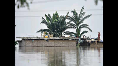 Death toll in Assam flood rises to 50