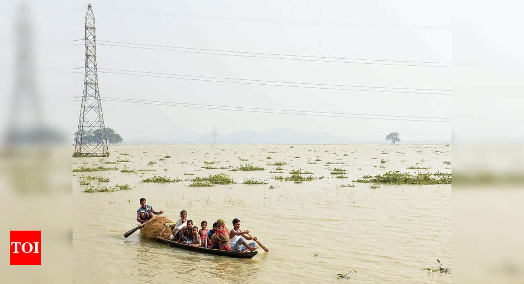 11 More Die In Assam Floods Toll Rises To 47 India News Times Of India 4062