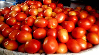 Delhi: Mother Dairy to sell tomatoes at Rs 40/kg