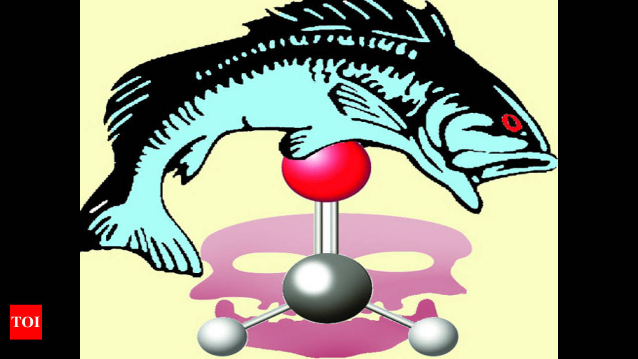 Fish in MP getting skin cancer due to pollution