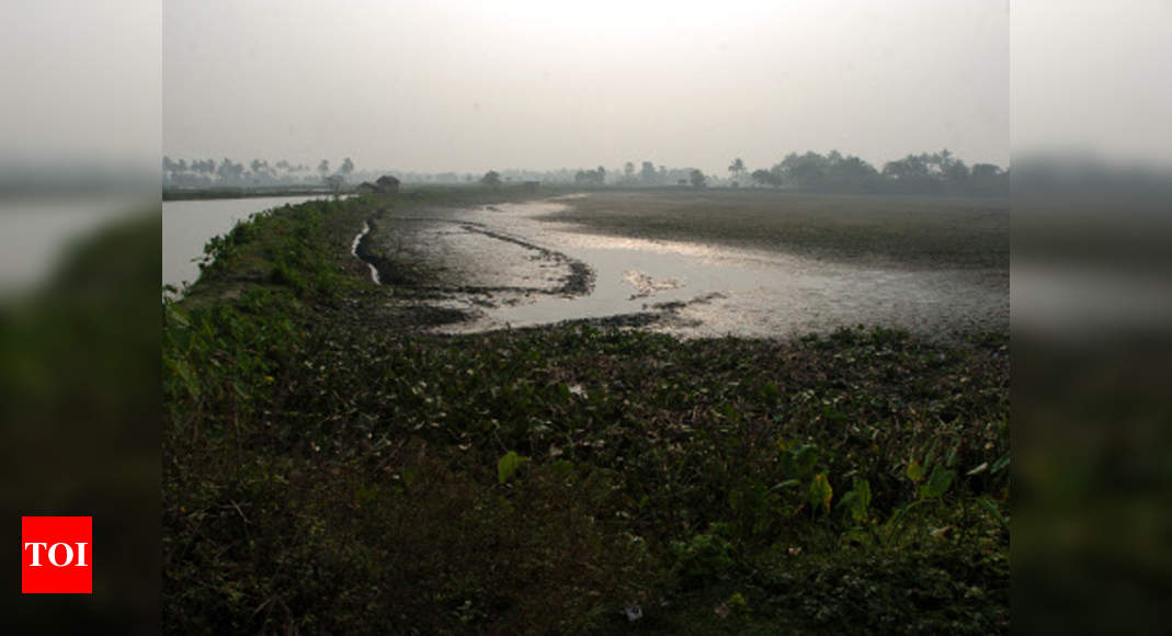 New green study ordered for flyover via wetlands | Kolkata News - Times ...