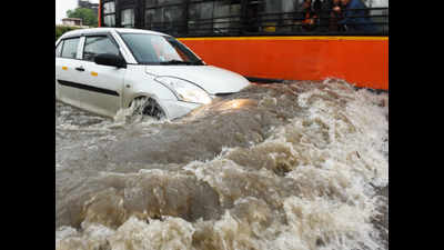 Delhi: Fallen trees, flooded roads bring chaos
