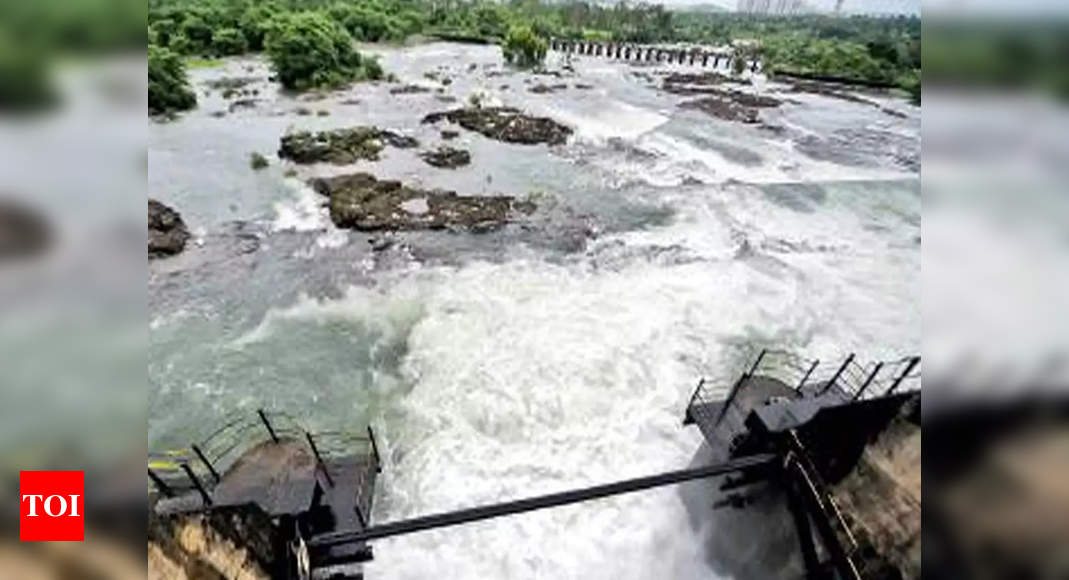 Amthane dam level rises to 90% capacity | Goa News - Times of India