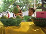 Enthusiats have a gala time at the 28th Mango Mela