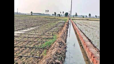 Drip by drip, Bara sarpanch sets example for others to save water