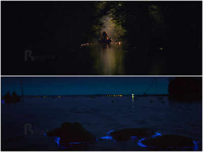 Watch Here s how the bioluminescence scene from Kumbalangi