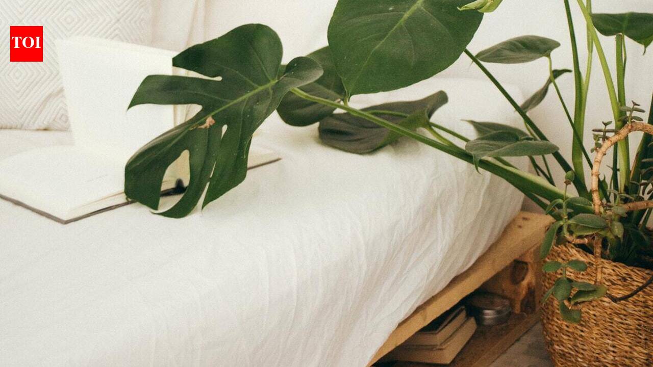 Storage Beds: Clever styles that will maximize storage in your bedroom ...