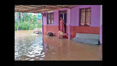 Karnataka faces 13% rain deficit, Bengaluru among worst hit areas