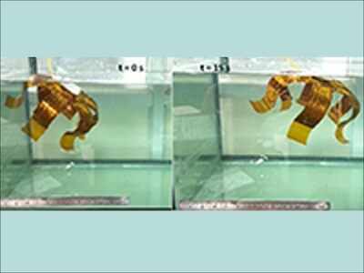 IIT Indore develops jellyfish robot