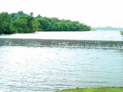 Amthane Overflows After Heavy Rain Goa News Times Of India