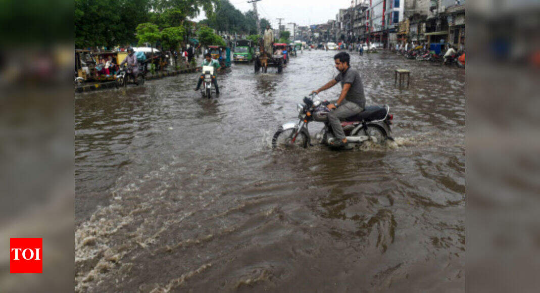 23 killed in lightning strikes in Bihar, Jharkhand; 6 more dead in