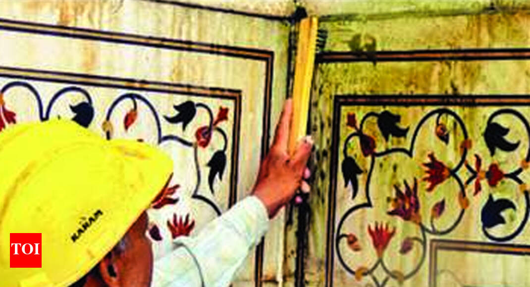 Insects invade Taj again, leave stains on marble
