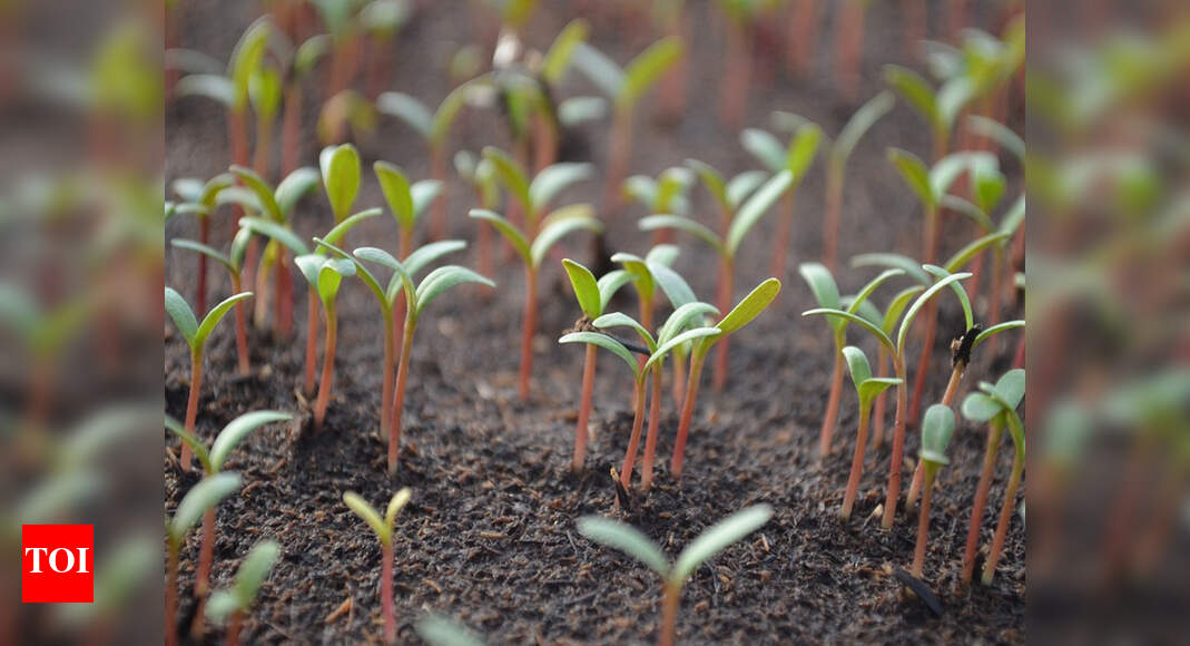 35,000 families in Dehradun plant 2.1 lakh trees to enter record books ...
