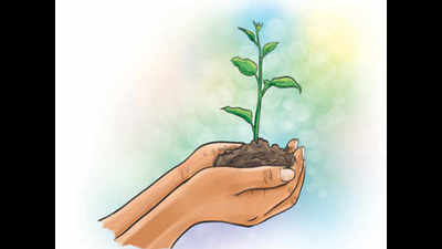 Arunachal Pradesh campaign to plant 1 lakh saplings in 24 hours