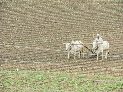 Govt promoting agri allied sectors to achieve target of doubling farm income