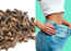 How to use cloves for weight loss
