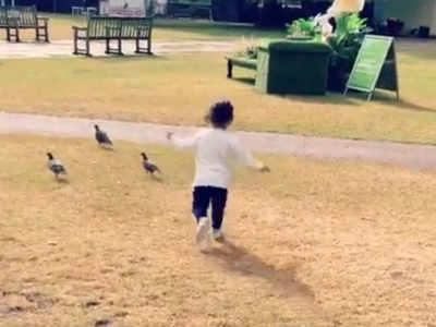 Watch: Inaaya Naumi Kemmu chases pigeons at a park in London